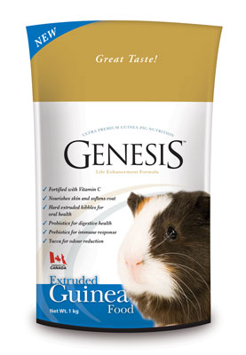 Genesis Guinea Pig